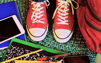 Informationen zum Wahlpflichtbereich für den 8. Jahrgang