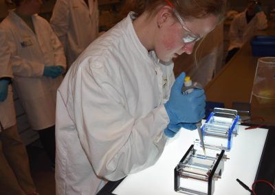 Befüllung der Geltaschen