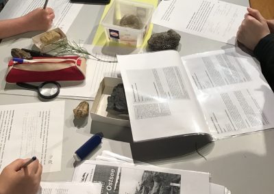 Exkursion zur Evolution - Arbeitsmaterial