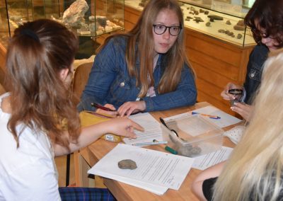 Exkursion zur Evolution - Gruppenarbeit