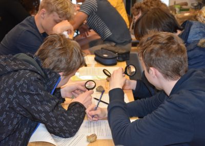 Exkursion zur Evolution - Lupenanalyse