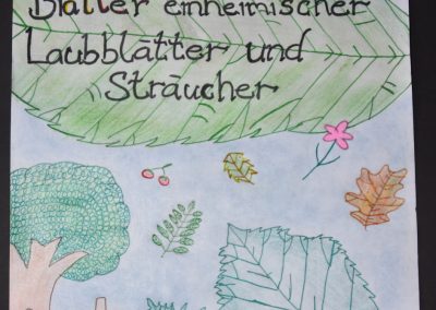 Herbarien in den 6. Klassen