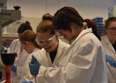 Profis bei der Arbeit