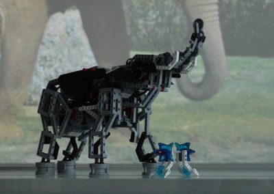 Projekte des Fördervereins