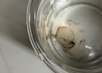 Schweineaugenpräparation