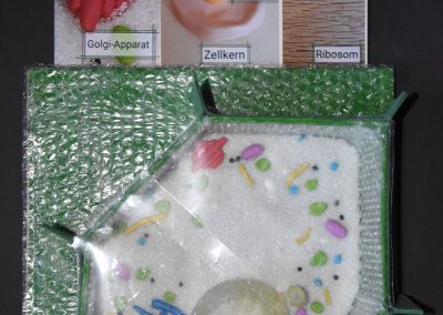 Biologie-Unterricht an der Goethe-Schule