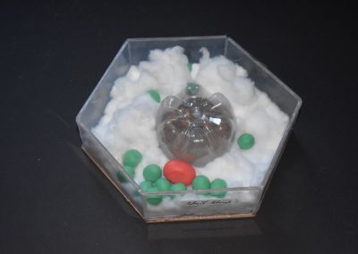 Biologie-Unterricht an der Goethe-Schule