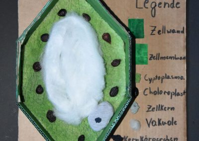 Biologie-Unterricht an der Goethe-Schule