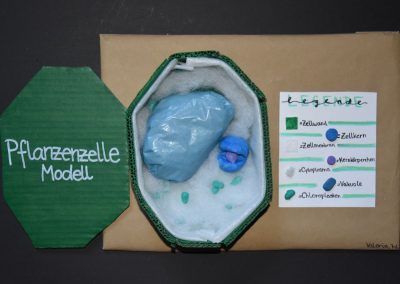 Biologie-Unterricht an der Goethe-Schule