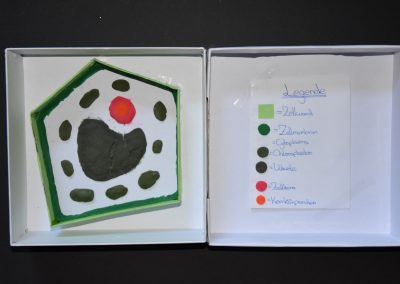 Biologie-Unterricht an der Goethe-Schule