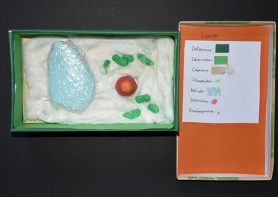 Biologie-Unterricht an der Goethe-Schule