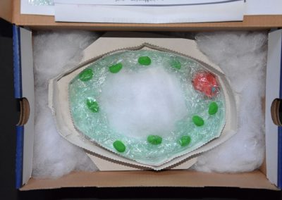 Biologie-Unterricht an der Goethe-Schule