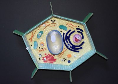 Biologie-Unterricht an der Goethe-Schule