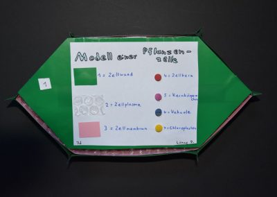 Biologie-Unterricht an der Goethe-Schule