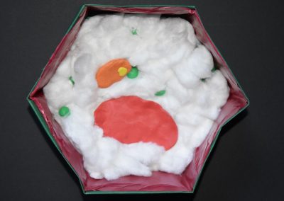 Zellmodelle in den 7. Klassen