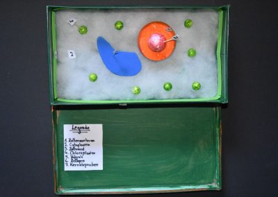 Biologie-Unterricht an der Goethe-Schule