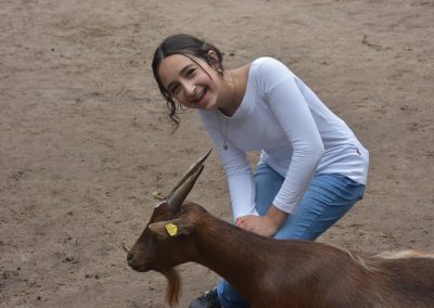 Ausflug in den Wildpark Eekholt 2025
