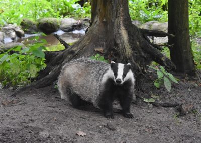 Ausflug in den Wildpark Eekholt 2025