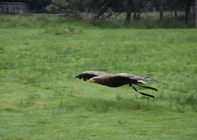 Ausflug in den Wildpark Eekholt 2025