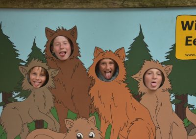 Ausflug in den Wildpark Eekholt 2025