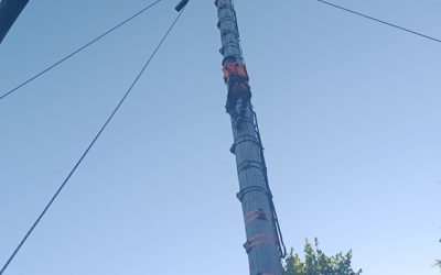 Klassenfahrt der 5. Klassen zum Selker Noor