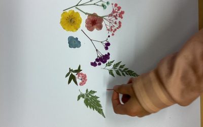 Über 1 Millionen Blütenpflanzen – Besuch der Ausstellung „State of Nature“ in Schleswig