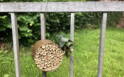 Neue Nisthilfen für Insekten
