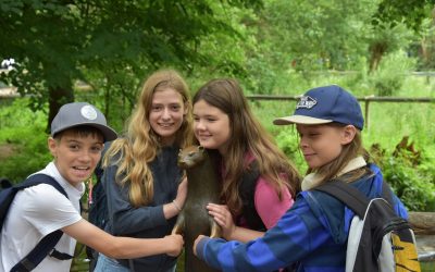 Traumhafter Tagesausflug der 6. Klassen in den Wildpark Eekholt